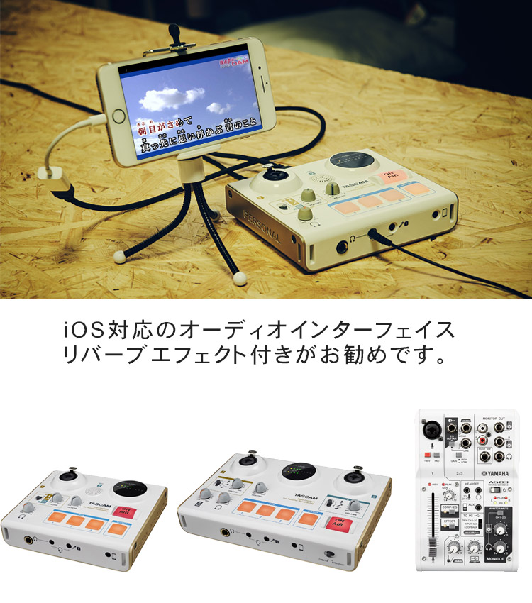 自宅でカラオケを楽しむ方法 Switch Ipad パソコン