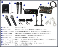 ワイヤレス簡易PAセット Roland CM-30 （ワイヤレスマイク2本・有線